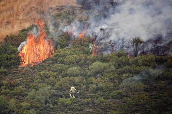 Técnico de Emergencias de Gobierno vasco desplazado a CyL constata una mejora en la situación de incendios