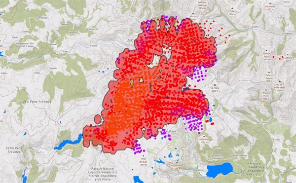Vecinos logran frenar el fuego que entró a Ourense por Zamora y proteger un bosque de tejos centenarios
