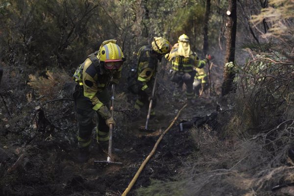 La meteorología favorece el trabajo del operativo y CyL cierra el día con casi 30 incendios, nueve de gravedad 2