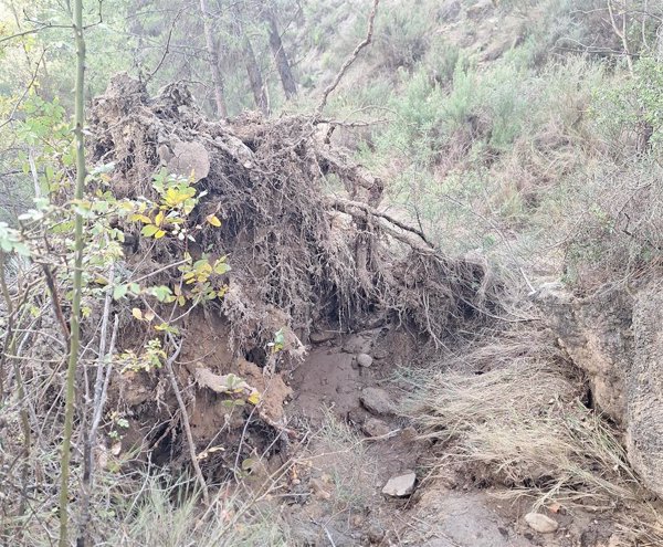 Junta declara desastre natural en comarcas de Albacete, Cuenca y Guadalajara afectadas por la dana de octubre de 2024
