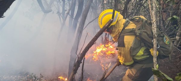 Las brigadas de refuerzo de incendios forestales participarán en labores preventivas durante el invierno