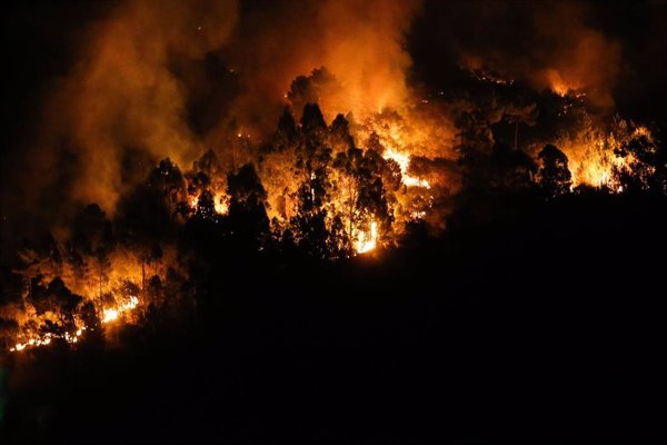 Ciencia, a través del CSIC, participó en 51 proyectos sobre incendios forestales con más de 9 millones desde 2020