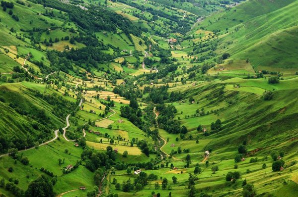 Denuncias 25 ataques de lobo en la zona pasiega de Cantabria en los últimos días
