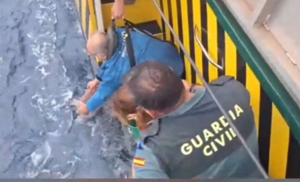 Liberadas al mar dos tortugas recuperadas por el Centro de Animales Marinos de Asturias