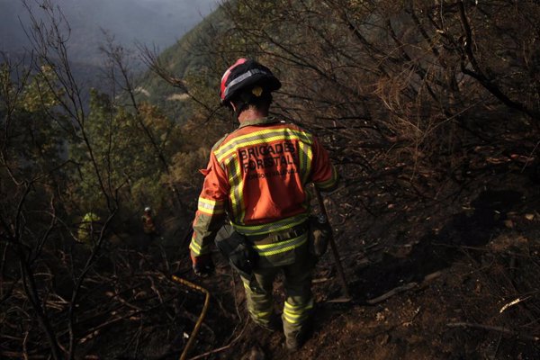 Comunidad pide al Gobierno que las mejoras laborales de las BRIF se apliquen también a Brigadas Forestales de Madrid