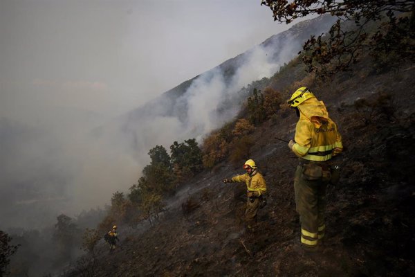 Más del 60% de los hogares en provincias afectadas por los incendios tiene seguro de hogar, según Unespa
