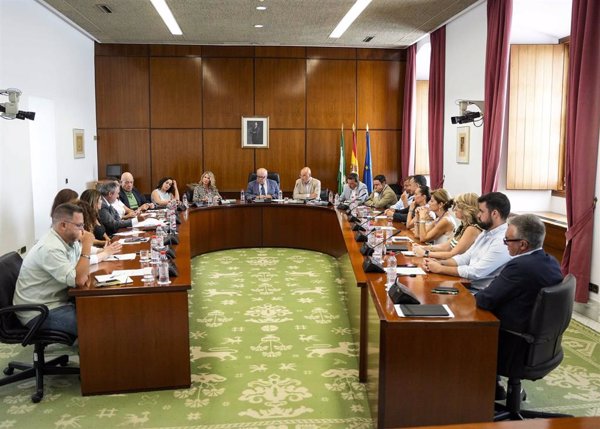 El Parlamento andaluz decide hoy si celebra un Pleno extraordinario sobre incendios forestales y la Mezquita de Córdoba
