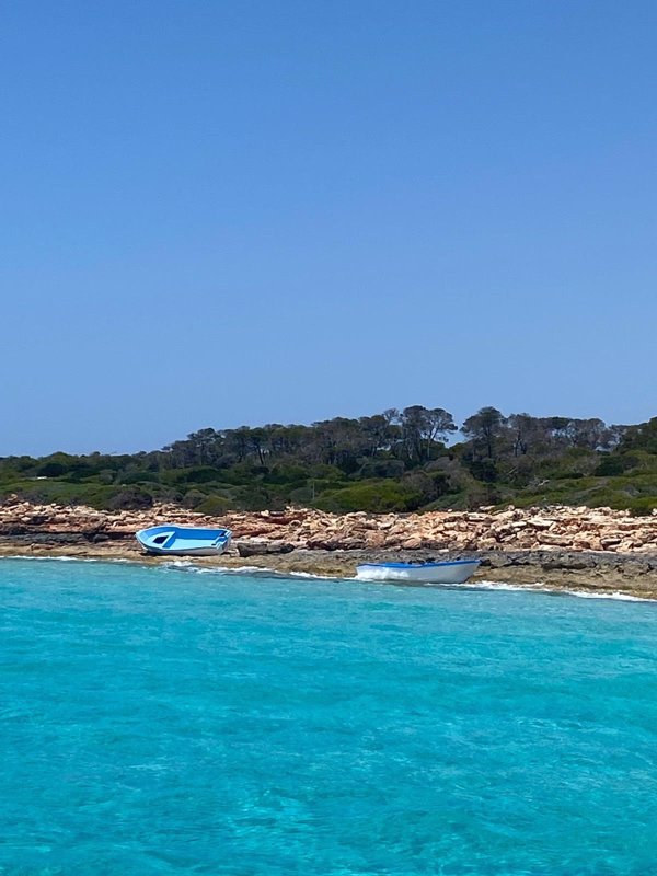 Alertan de que la costa sur de Mallorca se ha convertido en un cementerio de pateras ante la inacción de autoridades