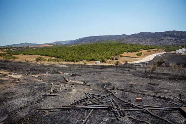 Las investigaciones por los incendios de este mes en Tarifa mantienen todas las hipótesis abiertas