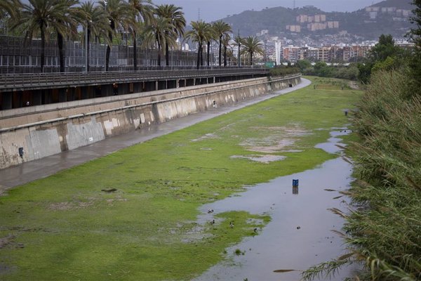 Precipitaciones de hasta 30 l/m2 activan los avisos mañana en Cataluña y Mallorca