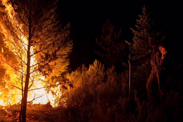 Bajan a 13 los incendios activos de alto riesgo en Castilla y León, Galicia y Asturias