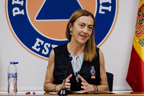 Barcones afirma que ninguna comunidad autónoma ha pedido al Gobierno decretar la emergencia nacional por los incendios