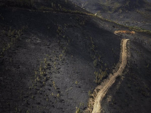 Estabilizado el incendio de Larouco (Ourense), el mayor de la historia de Galicia con 30.000 hectáreas