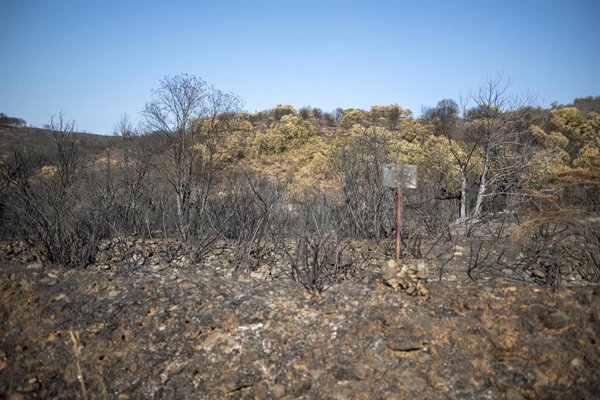 León registra 16 incendios que