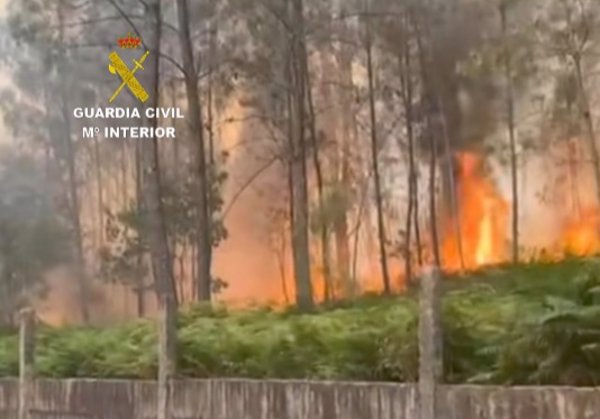 Investigadas dos personas y detenida otra en Pontevedra como presuntas autoras de incendios forestales