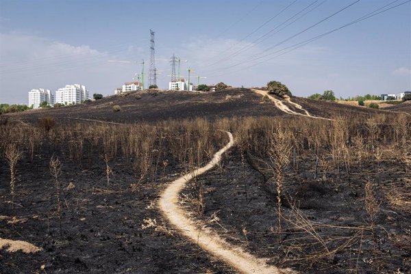Siete detenidos y un investigado por la Guardia Civil este verano por delitos de incendio forestal en Madrid