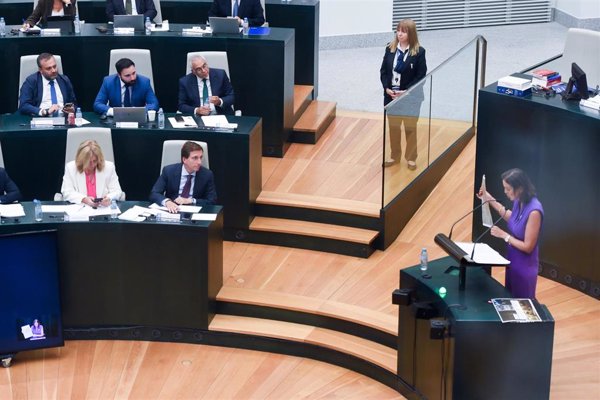 Almeida exige a Maroto (PSOE) "que pida perdón sin peros" por llamarles ' asesinos' en la gestión de residencias